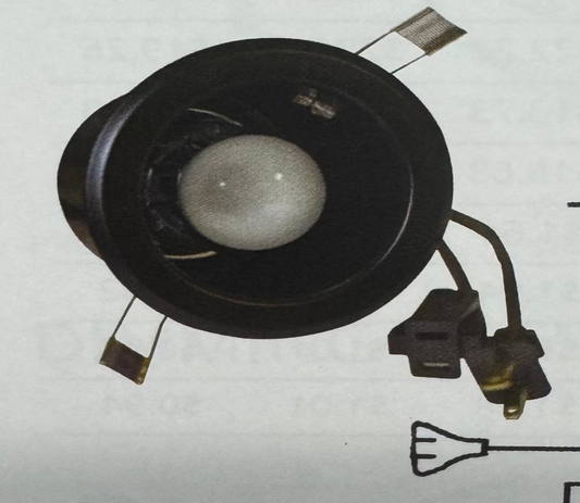 Specialty Lighting