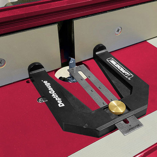 Blade and Bit Depth Gauge